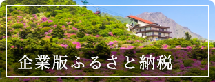 企業版ふるさと納税