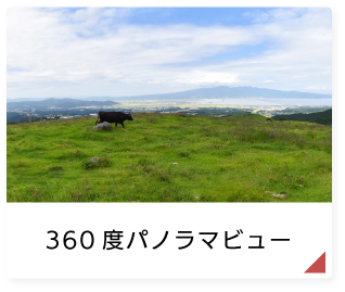 360°パノラマビュー