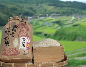 岩戸米
