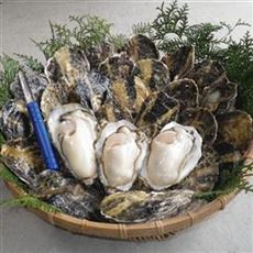 瑞穂かき