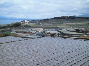 南串山棚畑展望台から見る風景