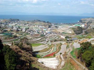 棚畑（大谷大橋）