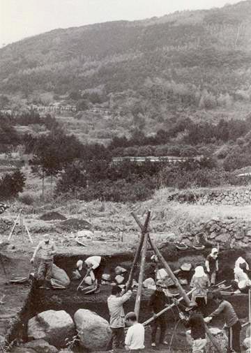 調査風景(昭和55年)