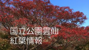 紅葉情報