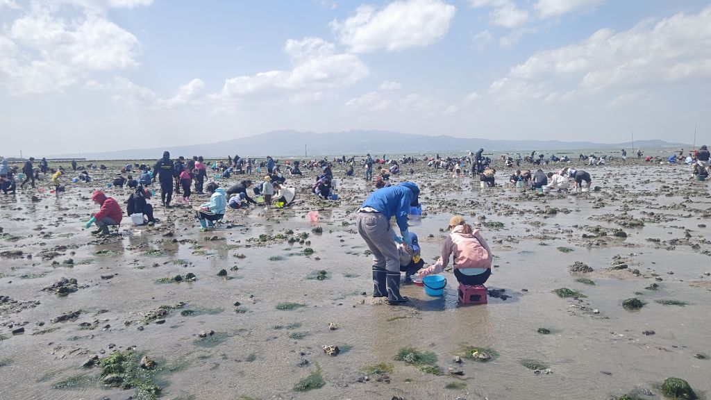 神代港の潮干狩り風景