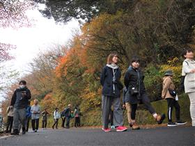 紅葉ウォーク