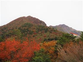 紅葉ウォーク