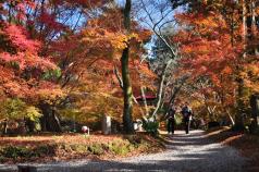 三十路園