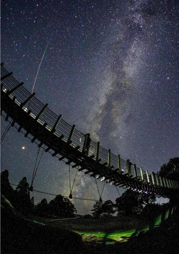 火星大接近とペルセウス座流星群の夜