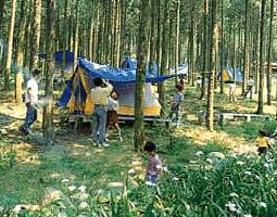 みずほの森-キャンプ場