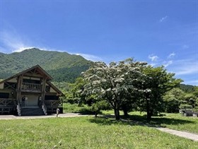 管理棟とヤマボウシ