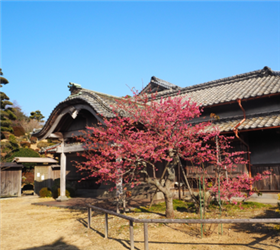神代