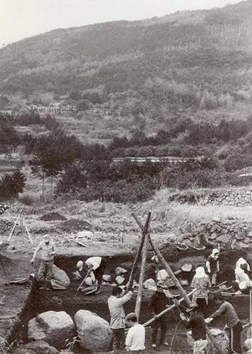 調査風景（昭和55年）