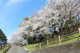 山田城址