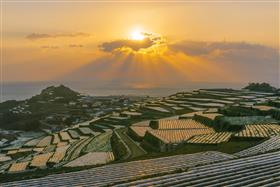 棚畑の風景