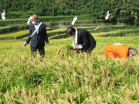 宮中献穀事業に係る抜穂祭