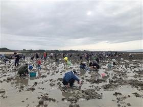 神代港の潮干狩り風景