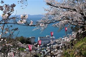 とけん山公園