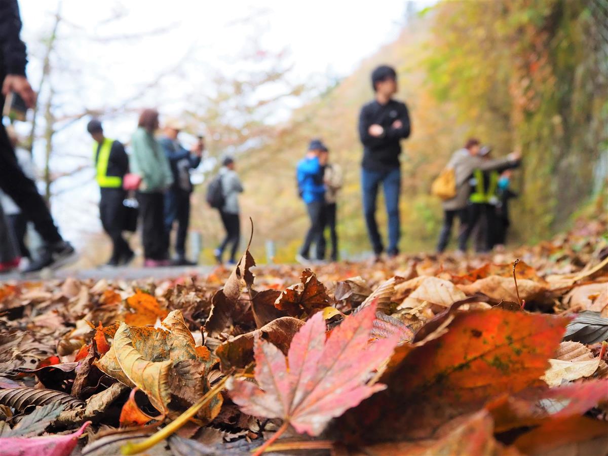 仁田峠で紅葉ウォーク