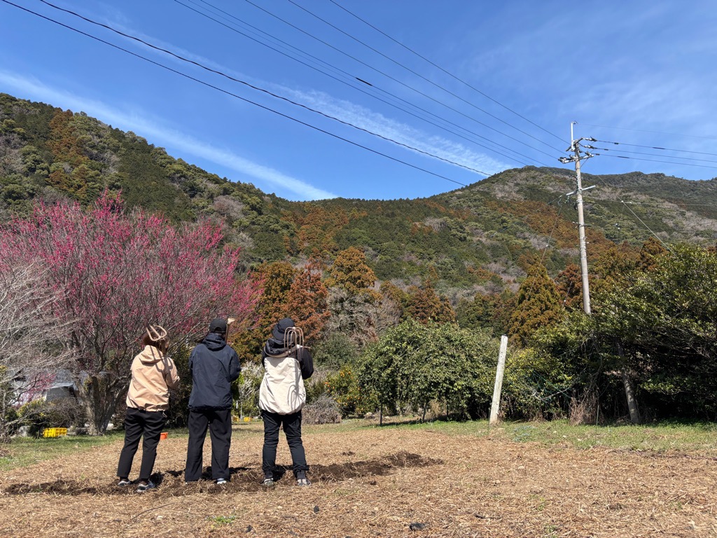 千々石ふれあい農園