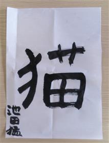 猫