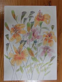 ユリの花