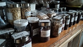 在来種野菜種採り農業イメージ3