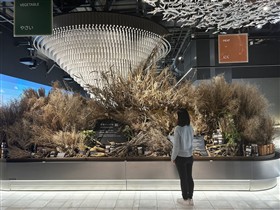 万博会場内展示