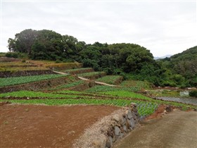 南串山辺木地区着工前