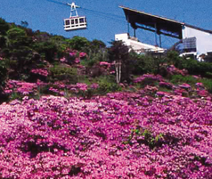 雲仙岳-ロープウェイ